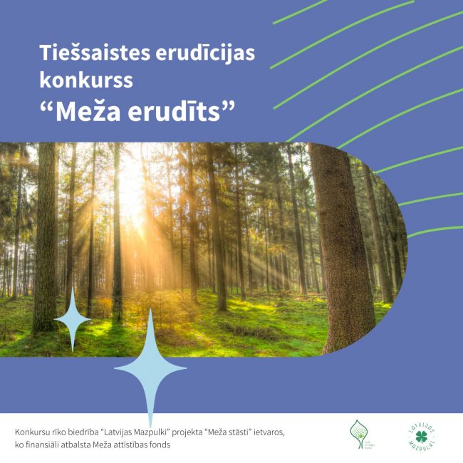 WhatsApp Image 2024-12-10 at 20.20.38