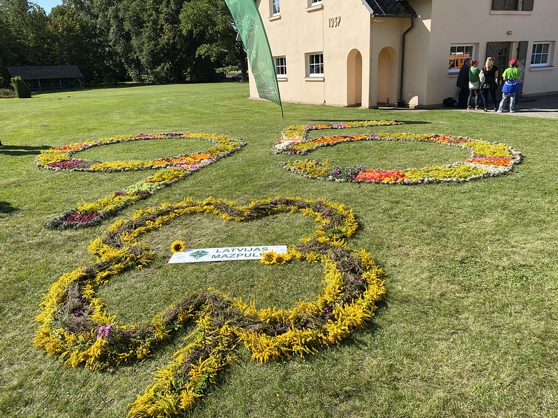 53972601568_ec5d2da454_c